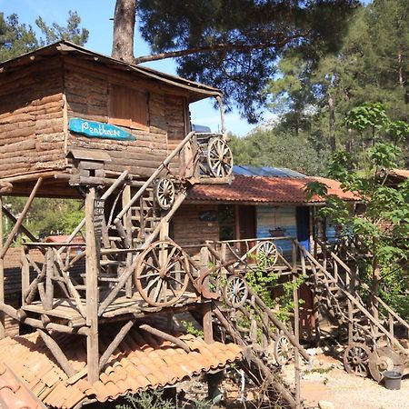 אולימפוס Kadir'S Top Tree Houses מראה חיצוני תמונה